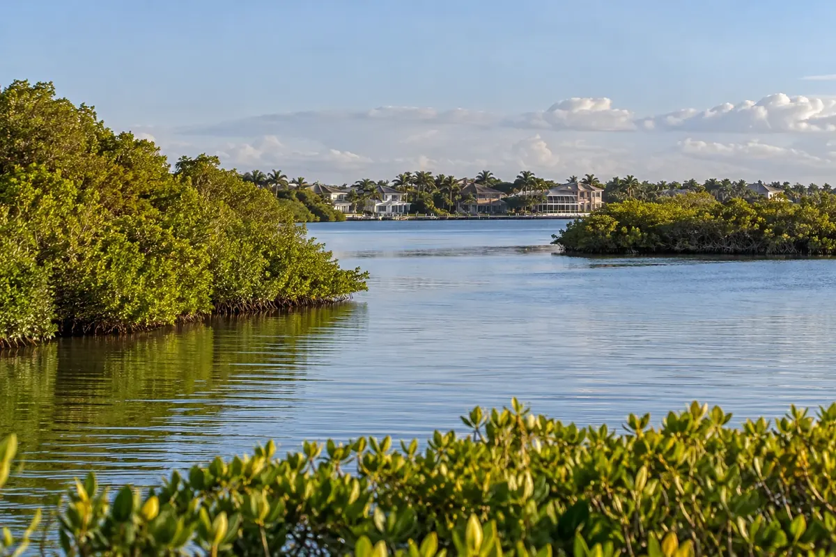 Illustration: Collier County landscape and homes