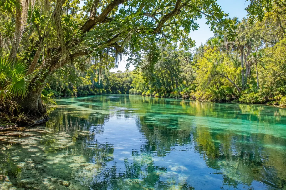 Illustration: Hernando County scenery near Spring Hill
