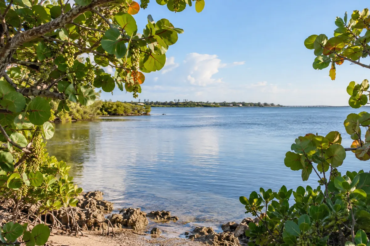 Illustration: Indian River County scenery near Vero Beach