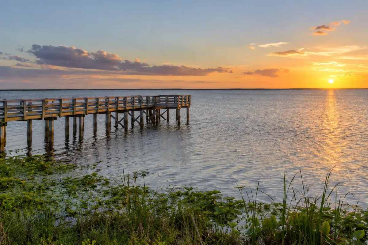 Illustration: Okeechobee County landscape and homes