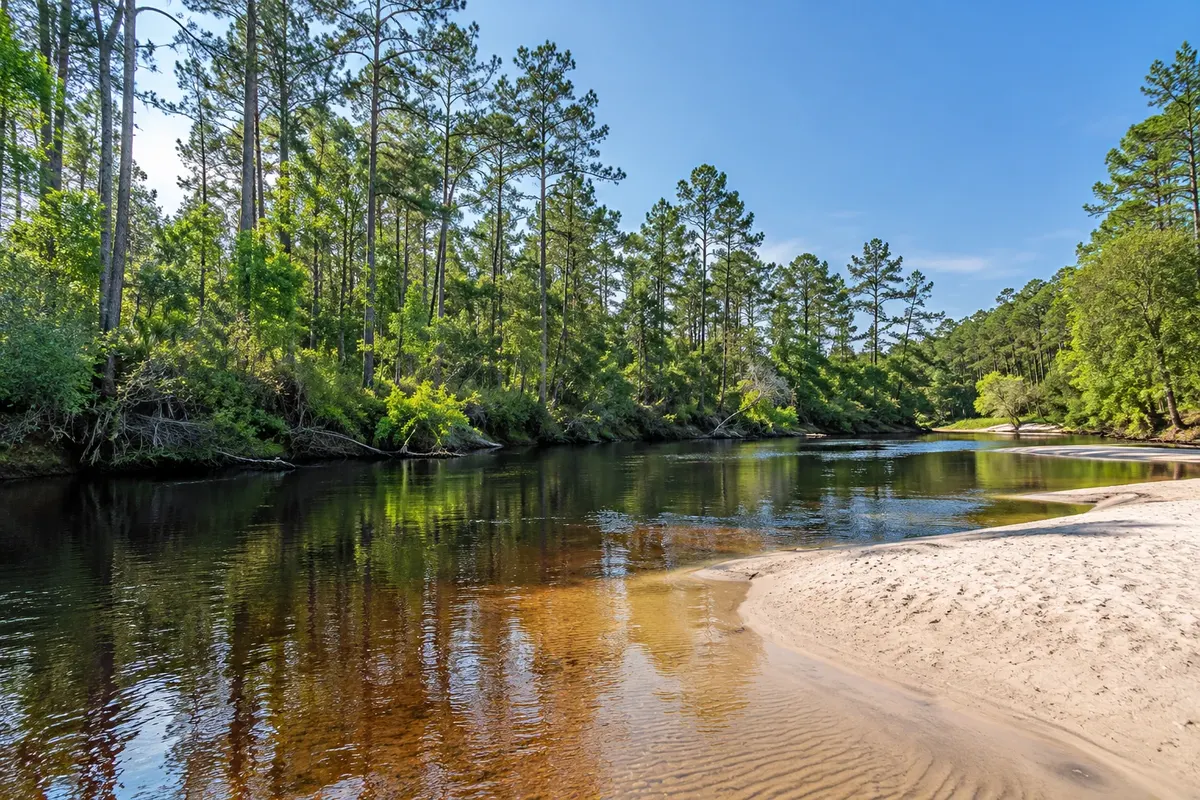 Illustration: Santa Rosa County scenery